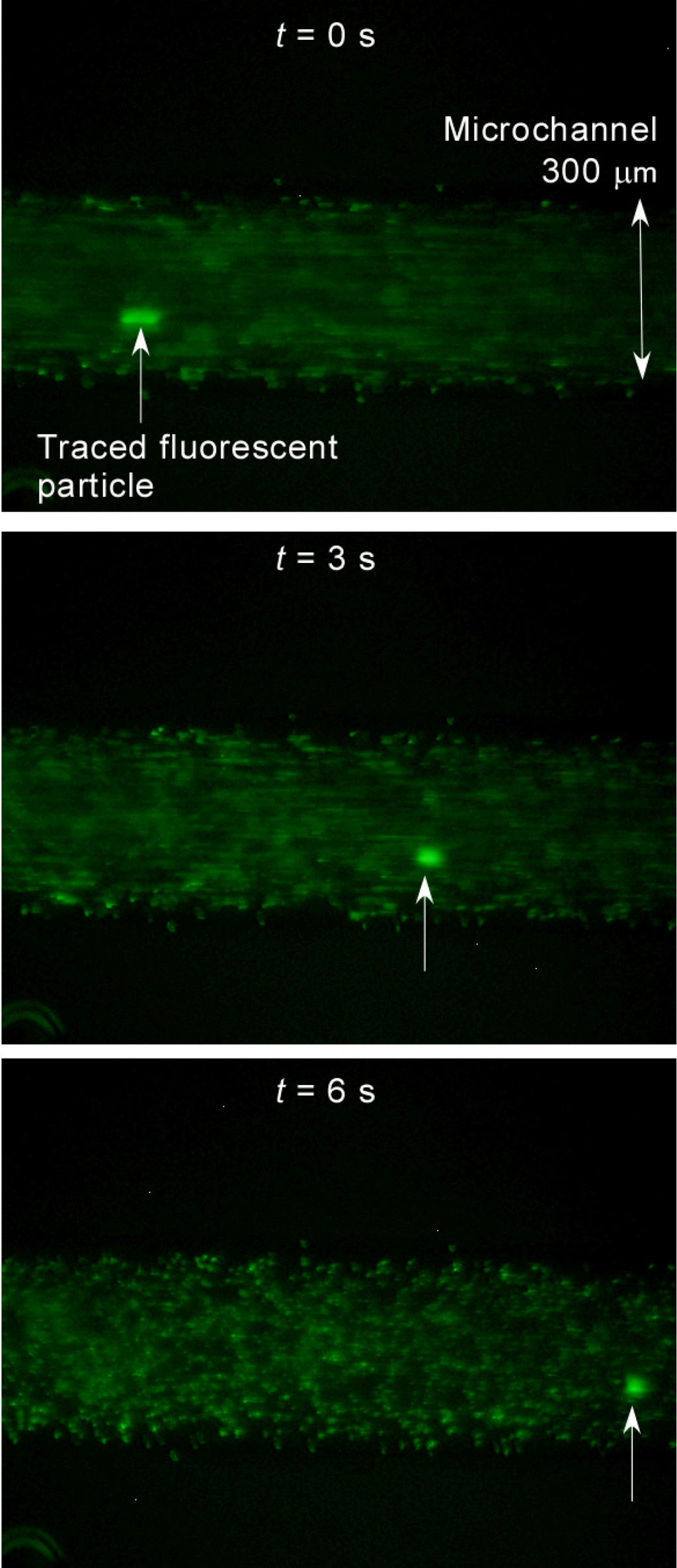 Micromachines 05 00289 g003 1024