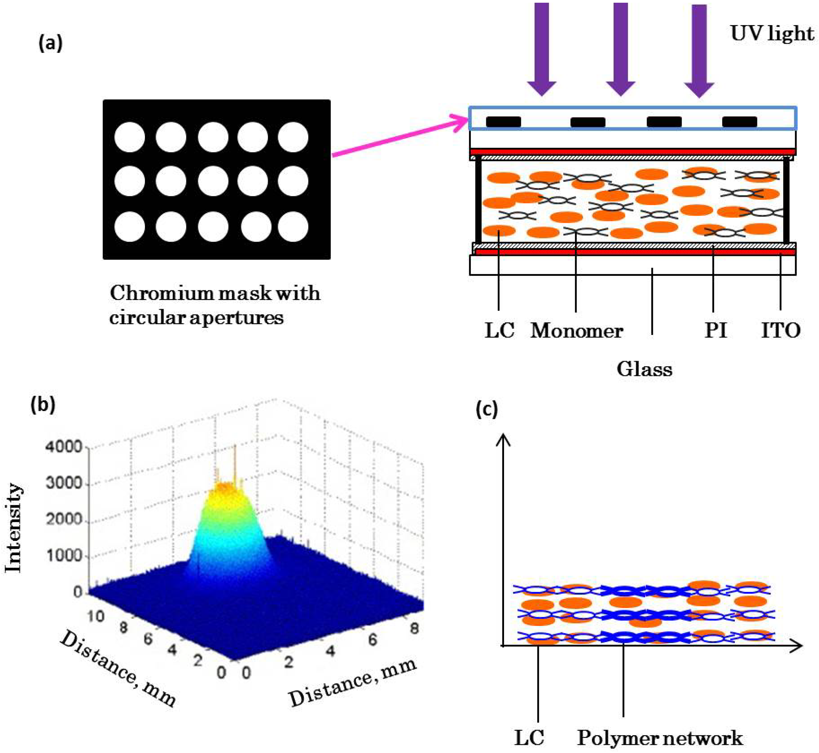 Micromachines 05 00300 g003