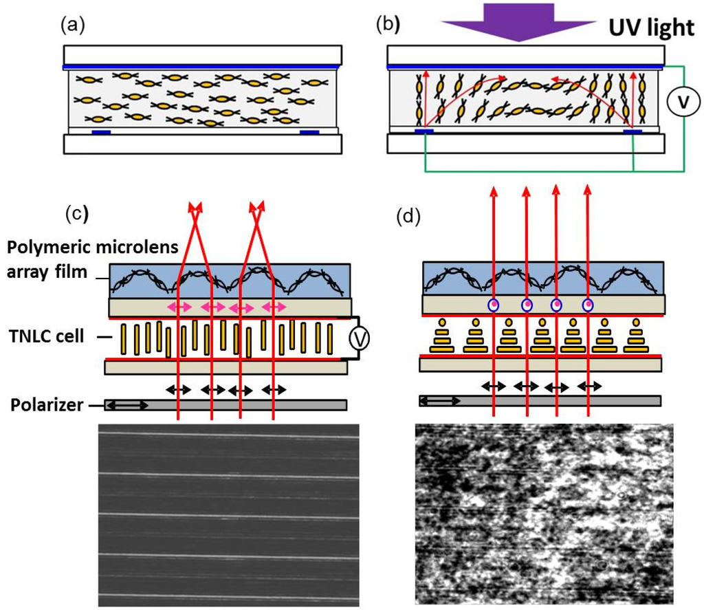 Micromachines 05 00300 g007 1024