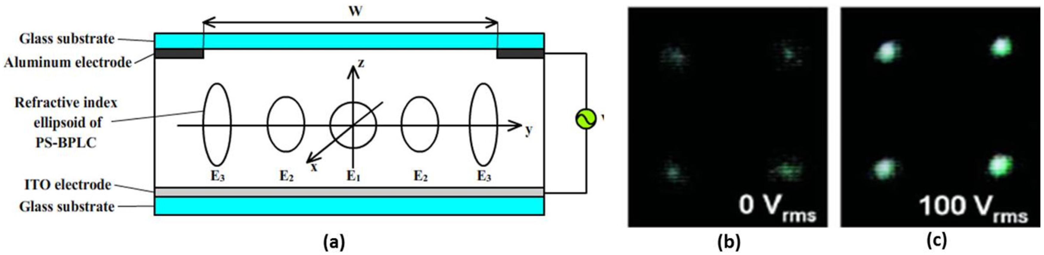 Micromachines 05 00300 g010