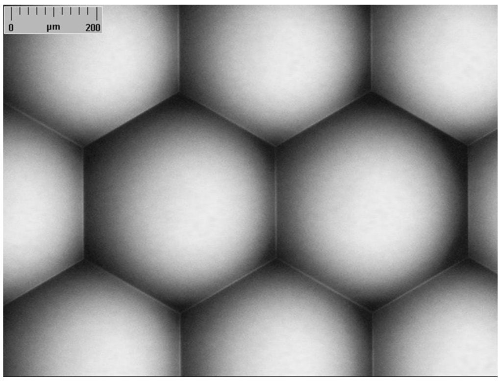 Micromachines 05 00325 g005 1024