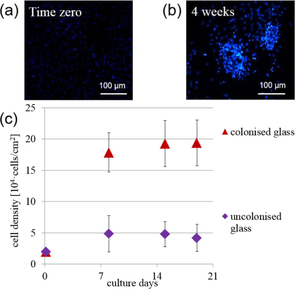 Micromachines 05 00341 g003 1024