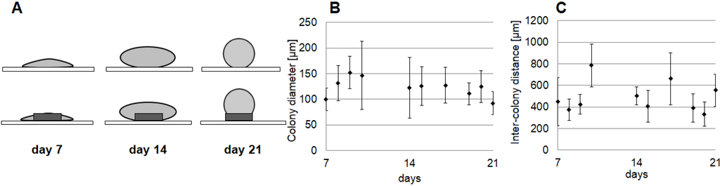 Micromachines 05 00341 g004 1024