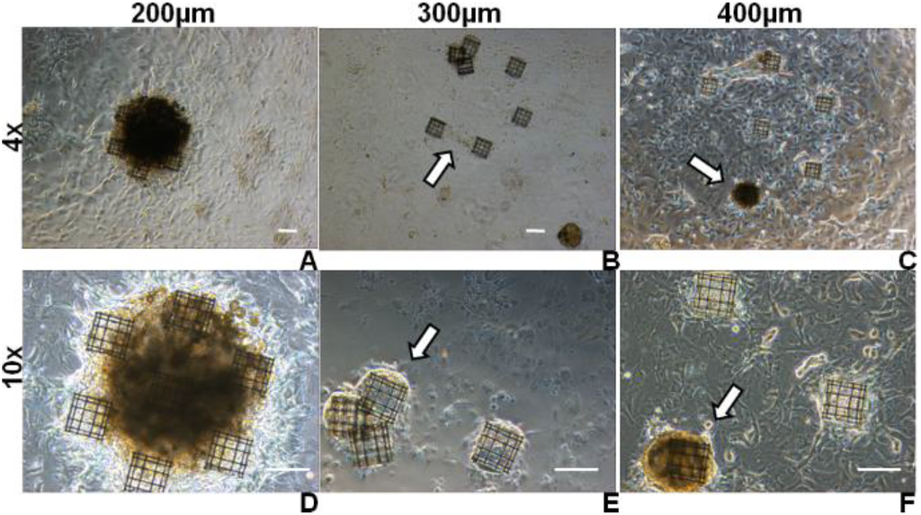 Micromachines 05 00341 g008 1024