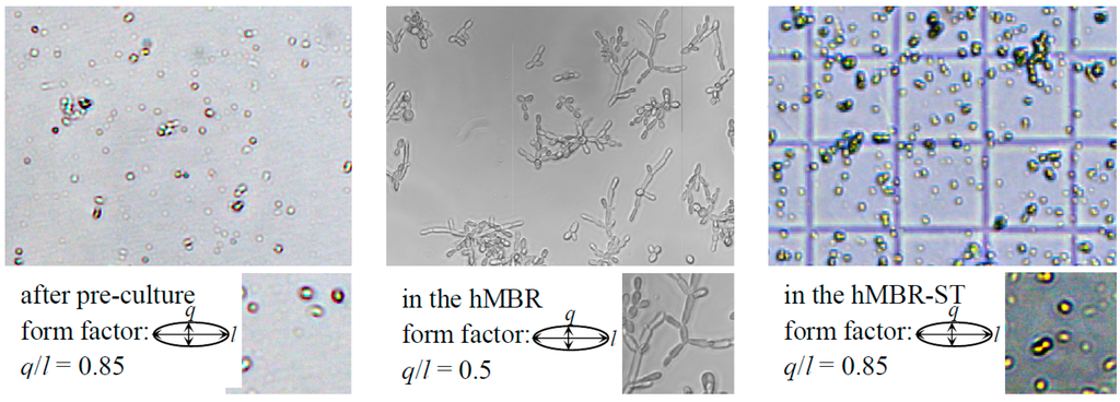 Micromachines 05 00442 g009 1024