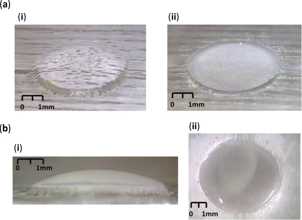 Micromachines 05 00457 g003 1024