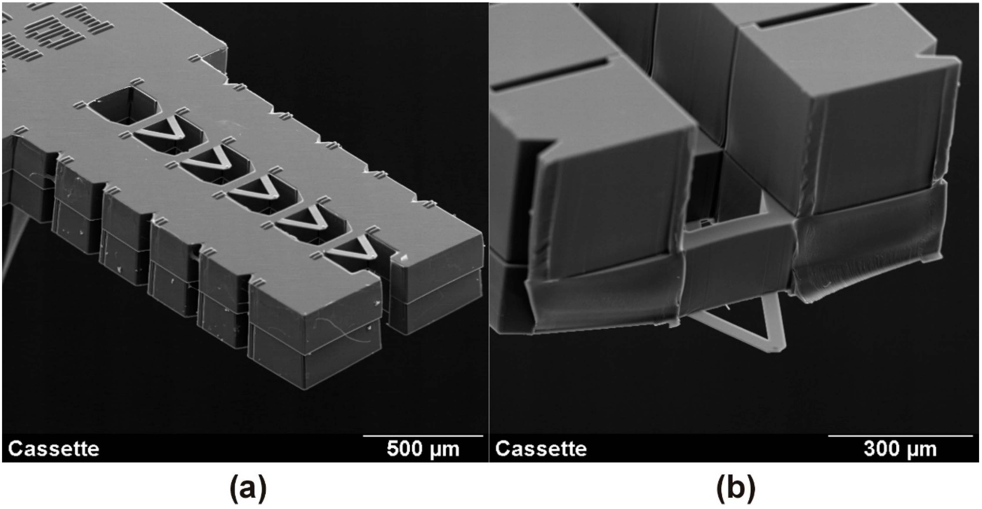Micromachines 05 00486 g002