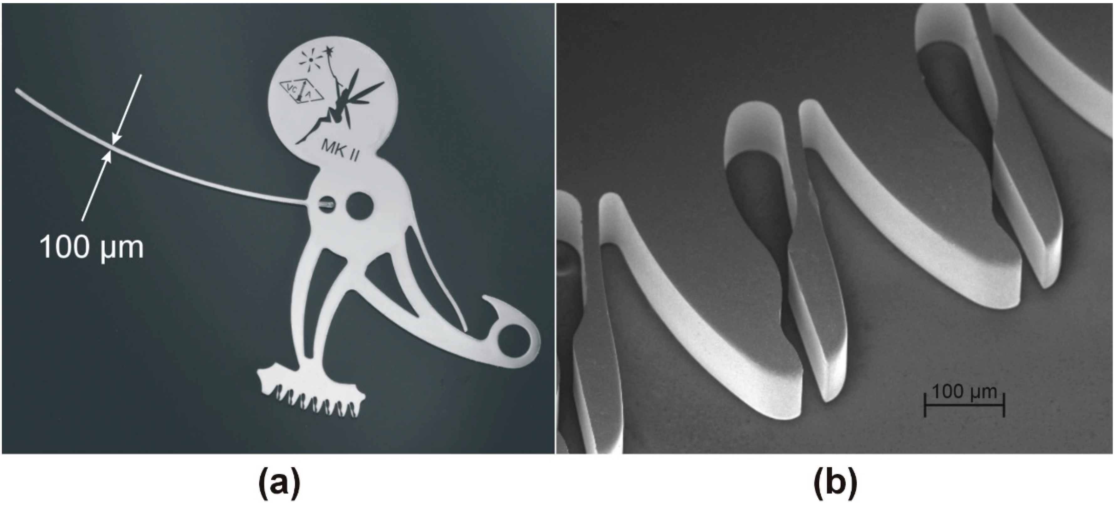 Micromachines 05 00486 g004