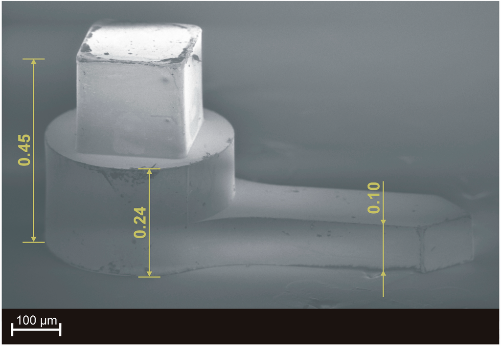 Micromachines 05 00486 g005 1024