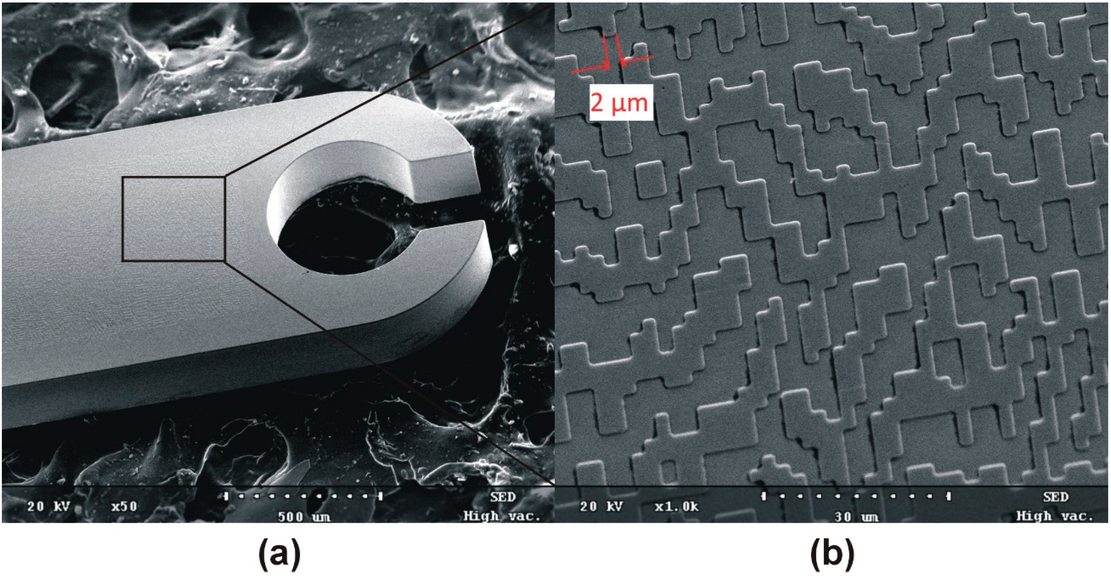Micromachines 05 00486 g009