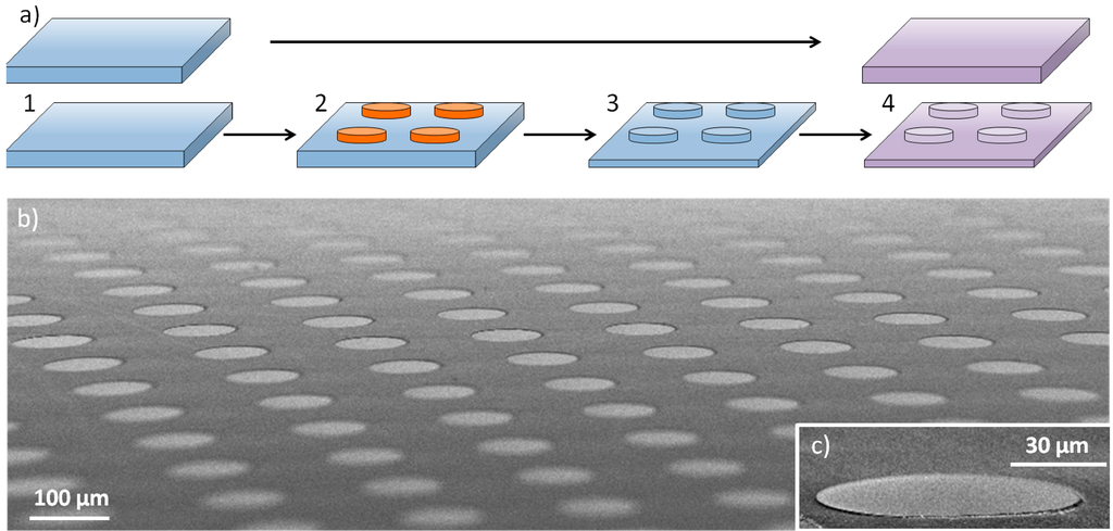 Micromachines 05 00583 g001 1024