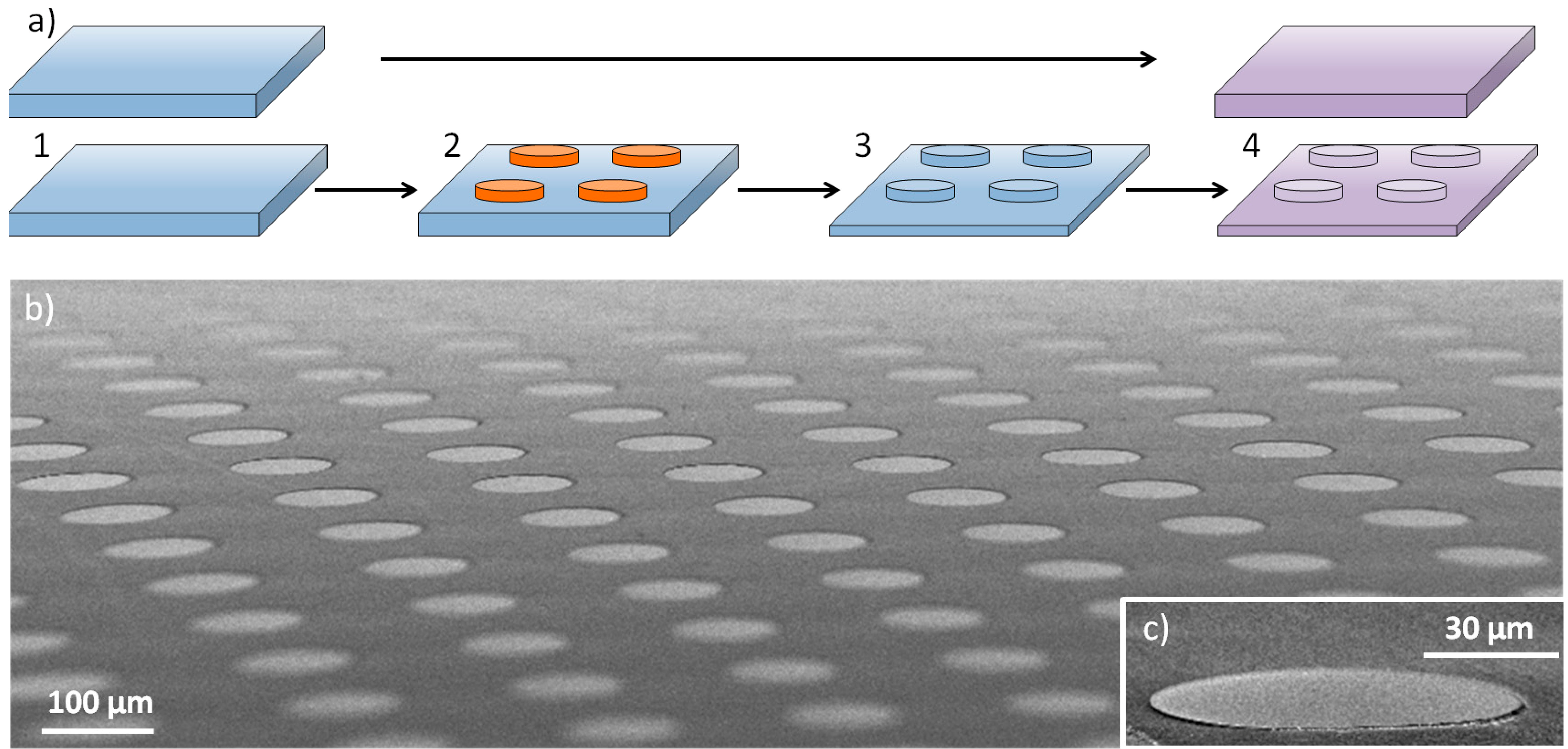 Micromachines 05 00583 g001