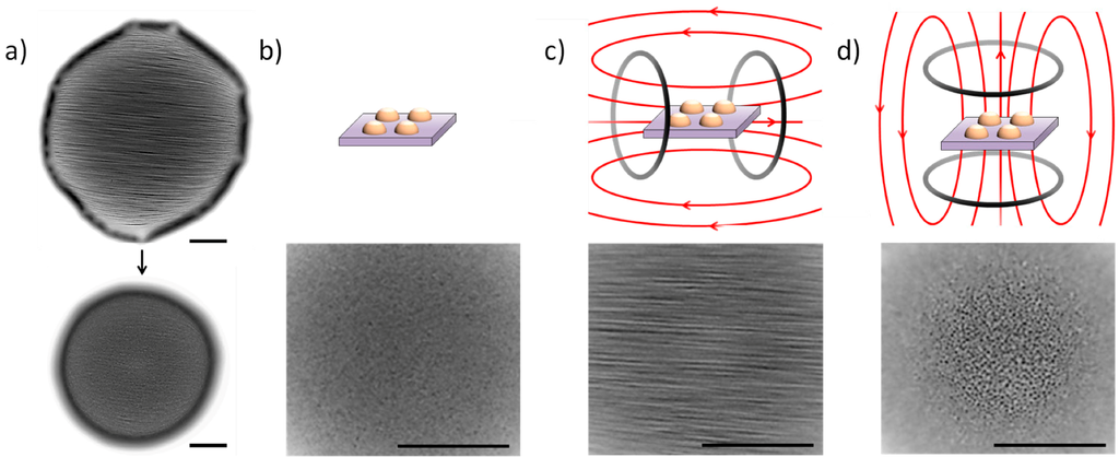Micromachines 05 00583 g006 1024