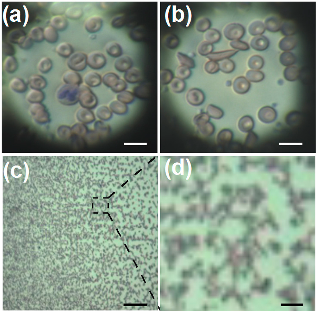 Micromachines 05 00607 g009 1024