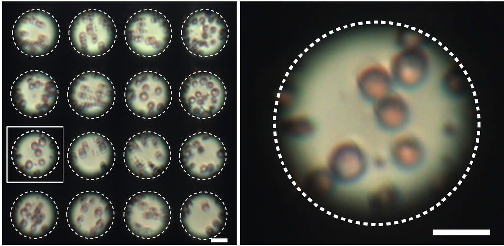 Micromachines 05 00607 g010 1024