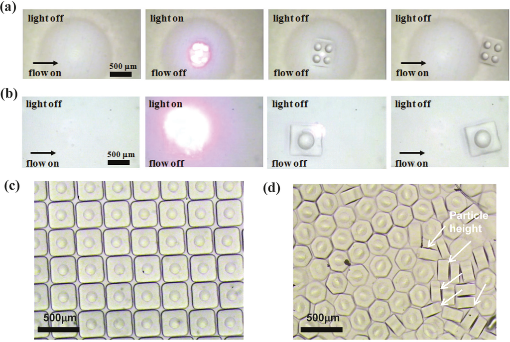 Micromachines 05 00667 g003 1024