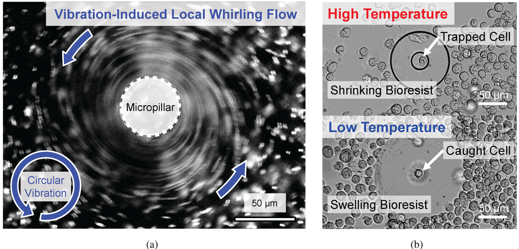 Micromachines 05 00681 g001 1024