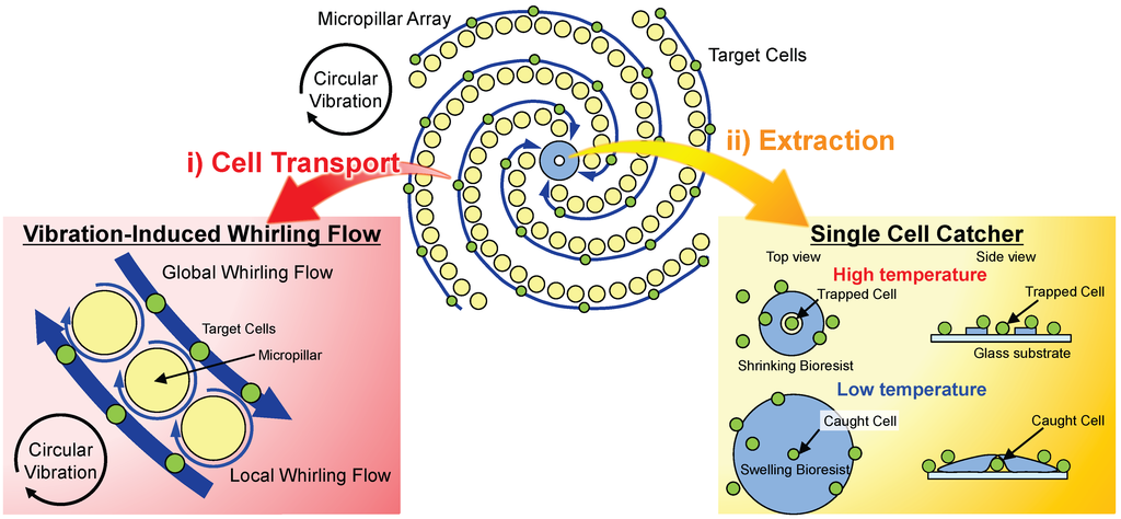 Micromachines 05 00681 g002 1024