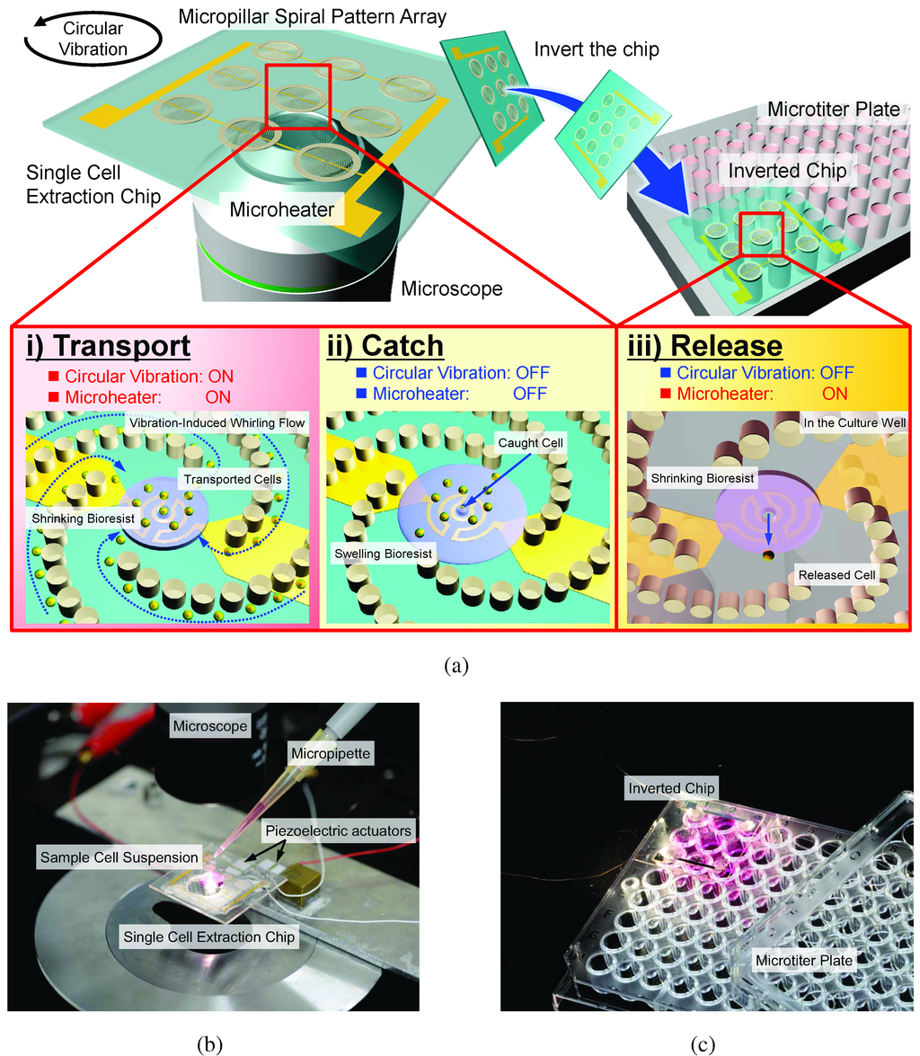 Micromachines 05 00681 g003 1024