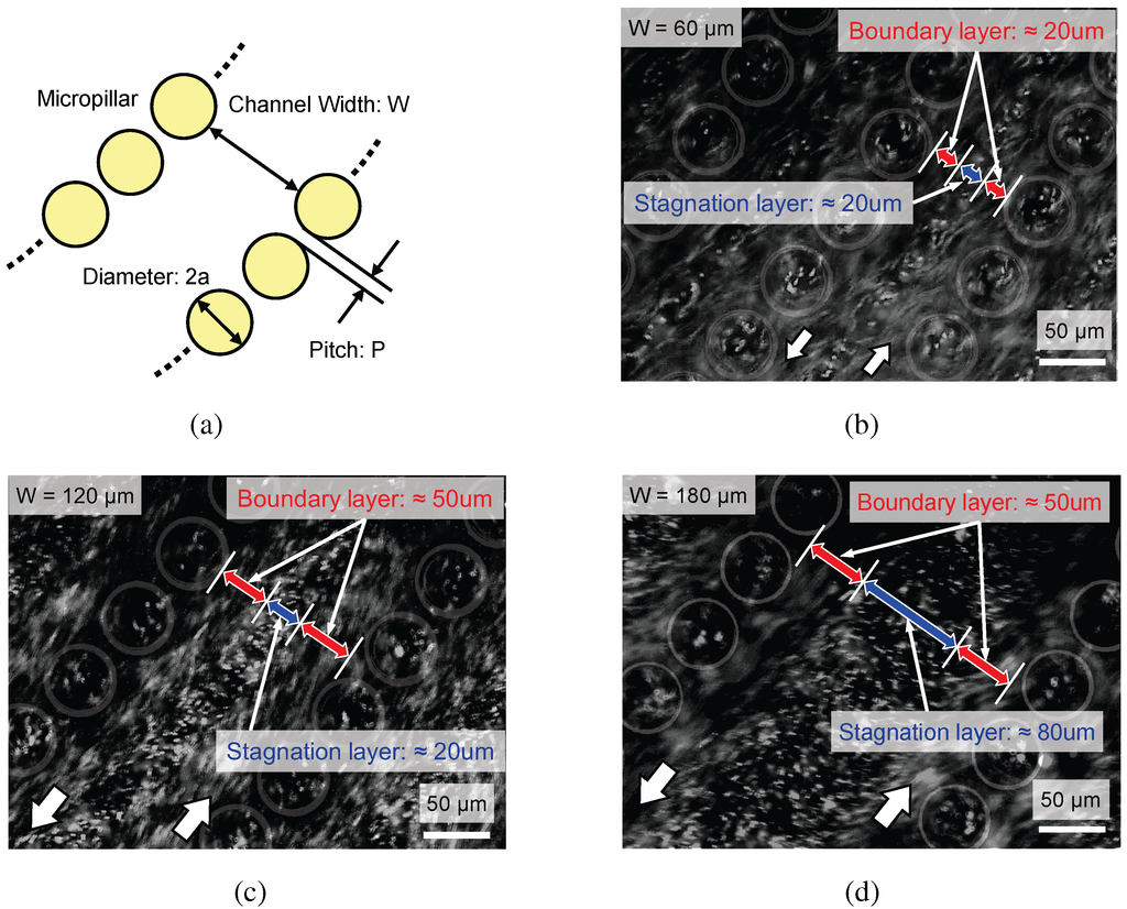 Micromachines 05 00681 g006 1024