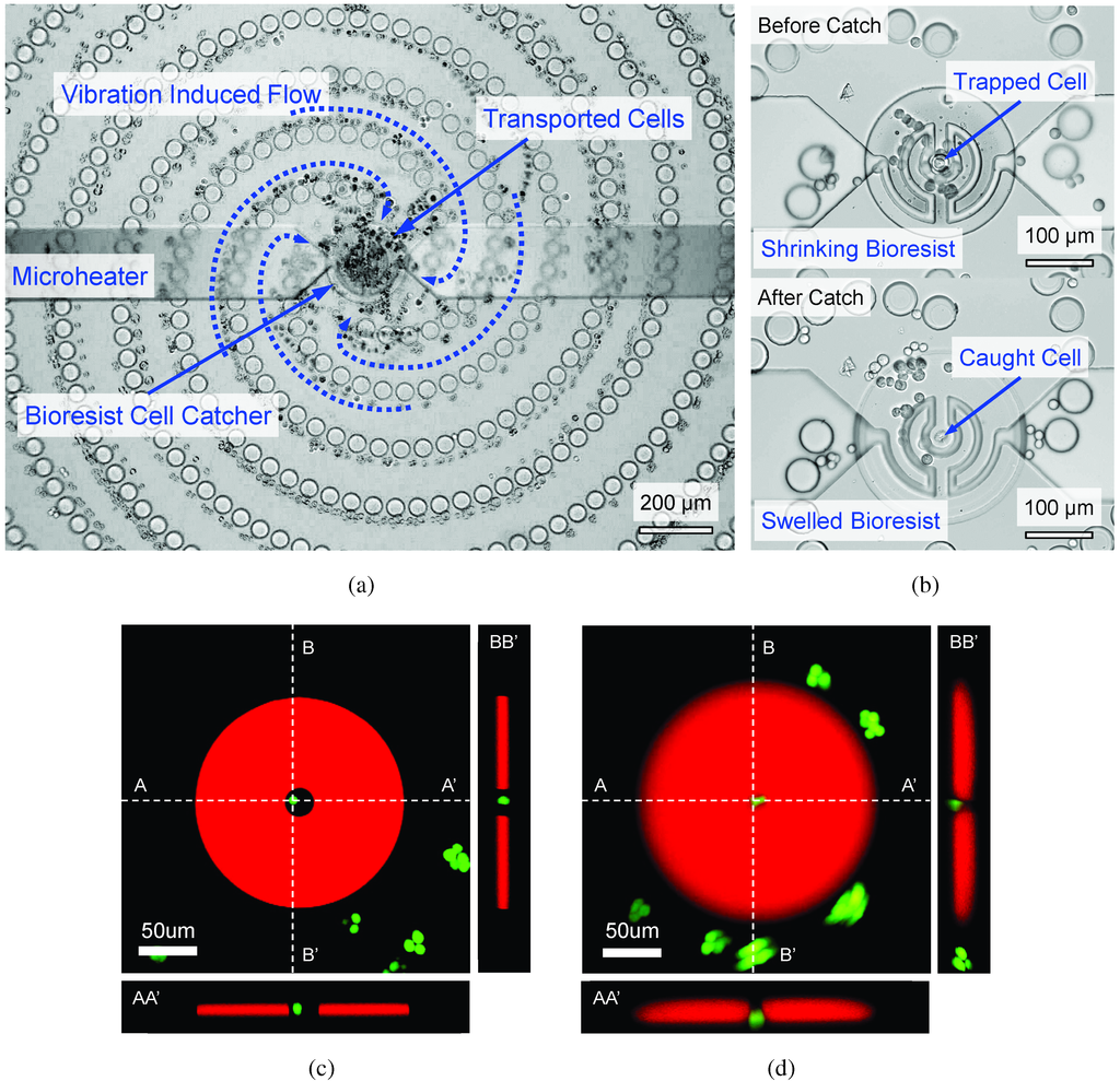 Micromachines 05 00681 g008 1024