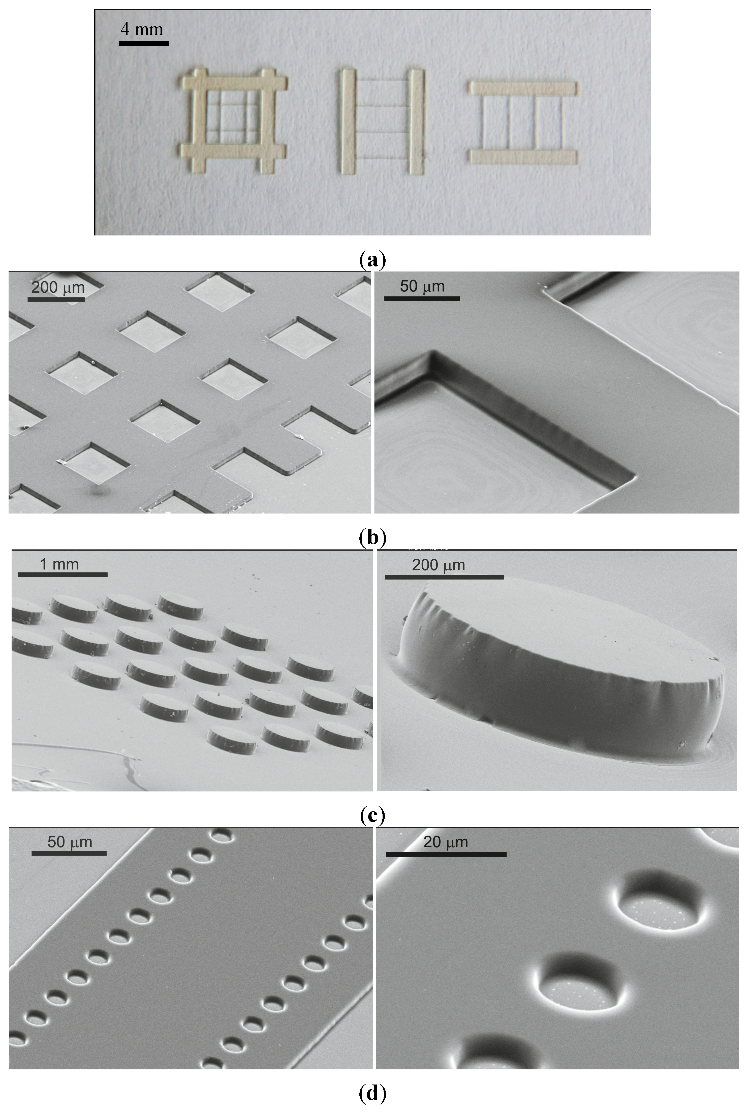 Micromachines 05 00738 g007