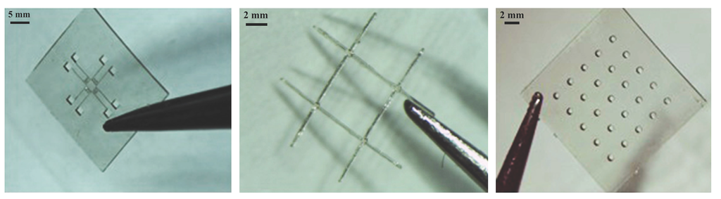 Micromachines 05 00738 g008 1024