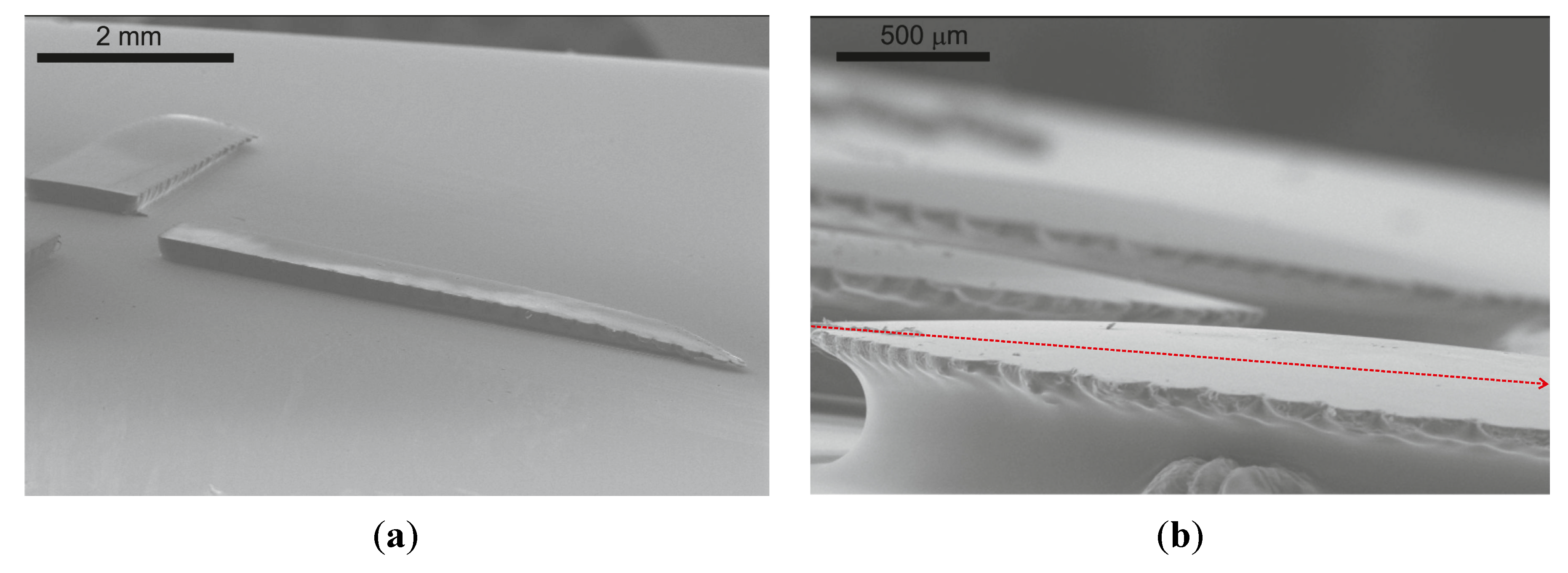 Micromachines 05 00738 g010