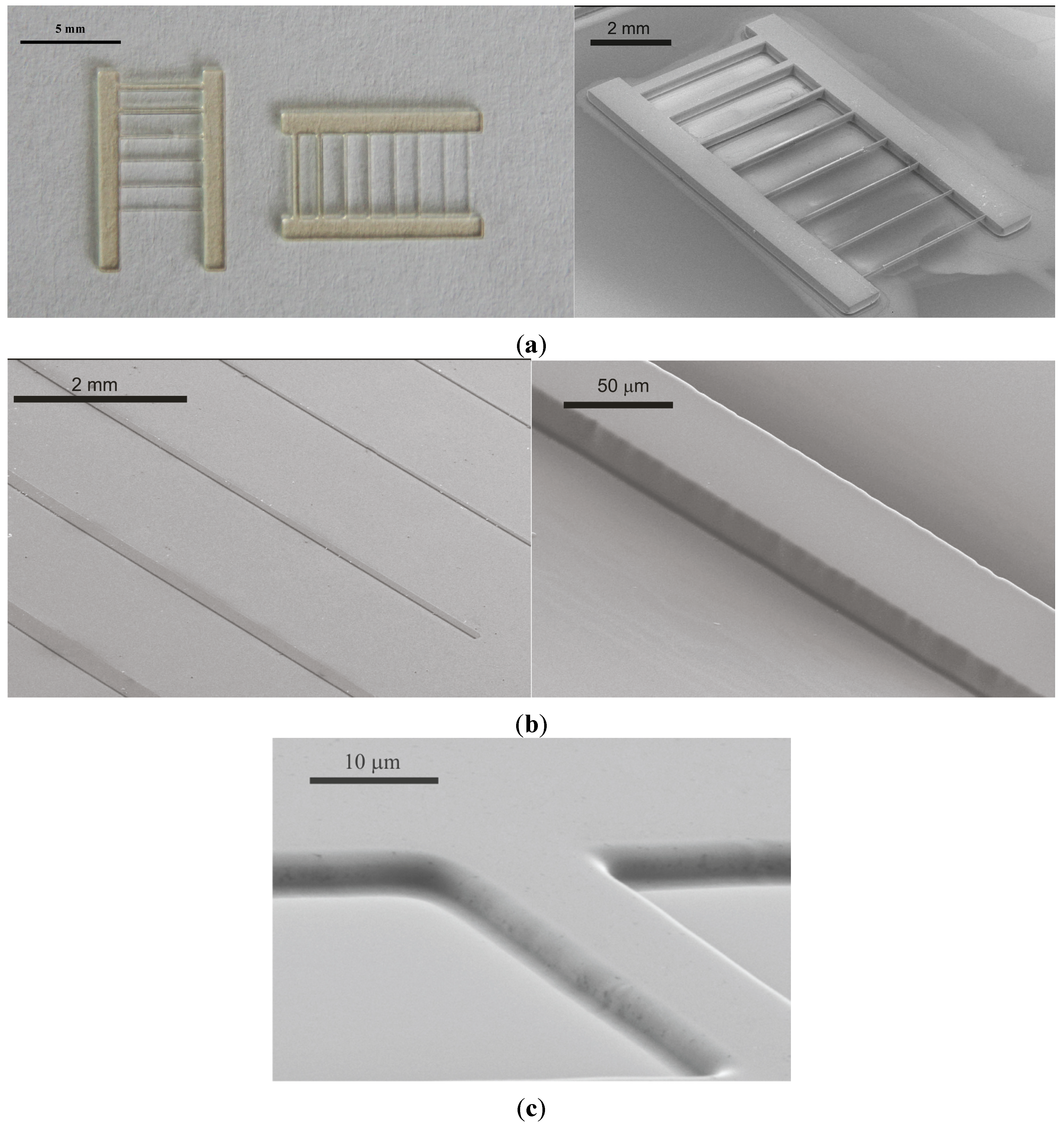 Micromachines 05 00738 g012