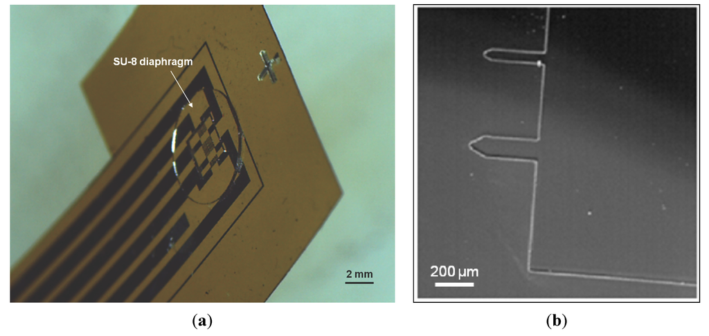 Micromachines 05 00738 g013 1024