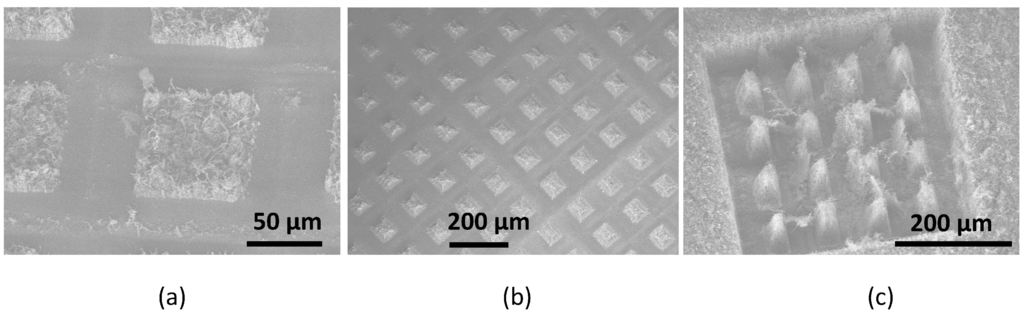 Micromachines 05 00756 g003 1024