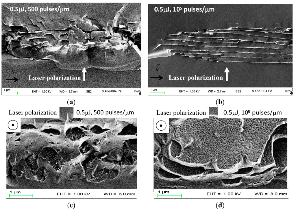 Micromachines 05 00825 g001 1024