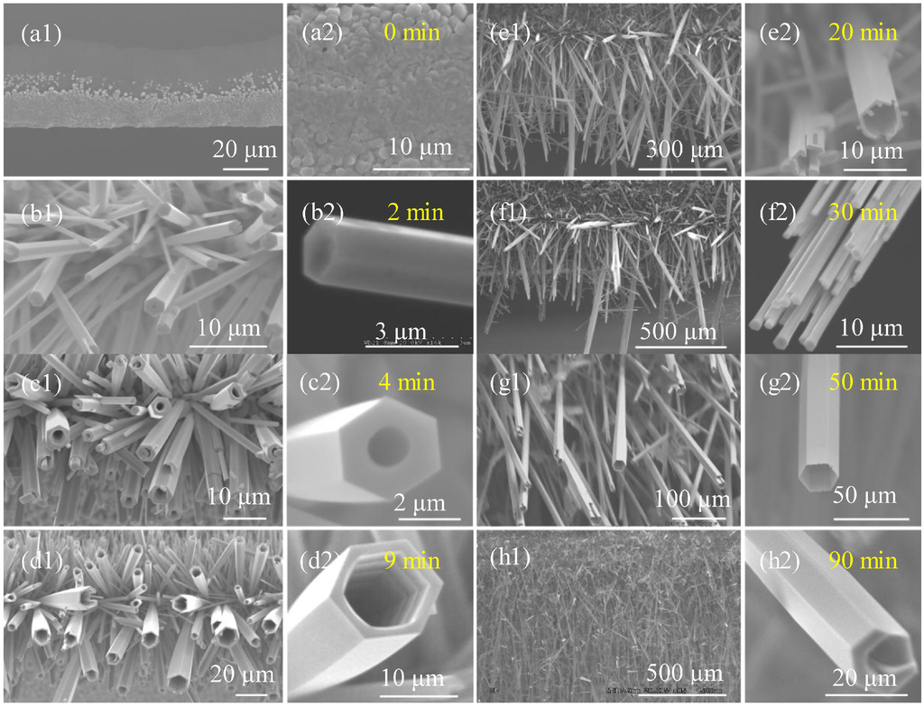 Micromachines 05 01069 g004 1024