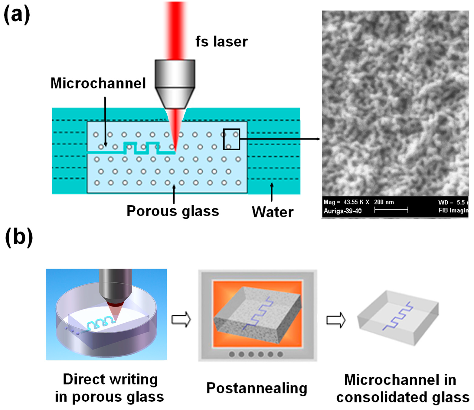 Micromachines 05 01106 g002