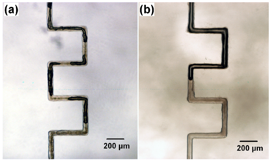 Micromachines 05 01106 g003 1024