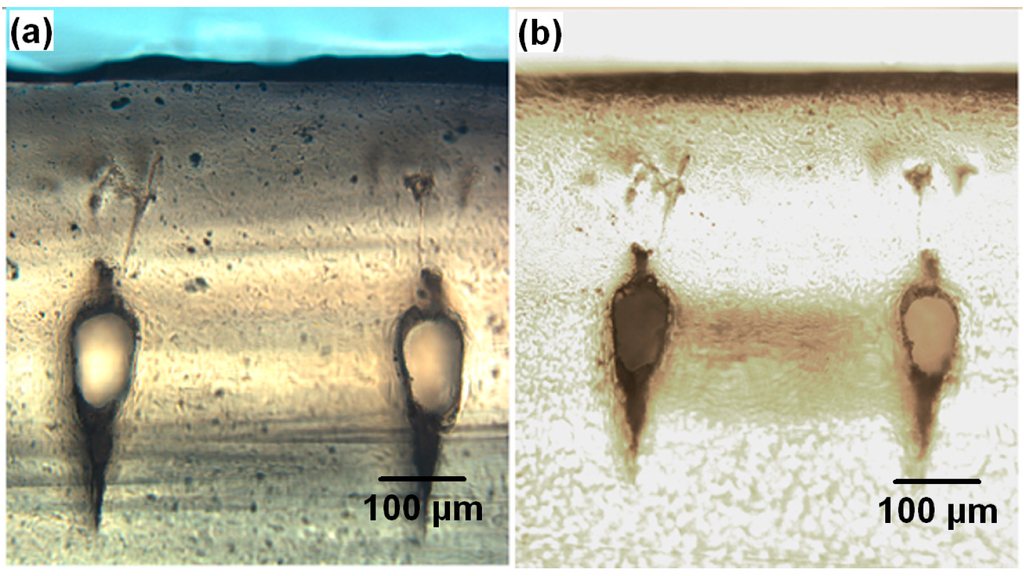 Micromachines 05 01106 g005 1024