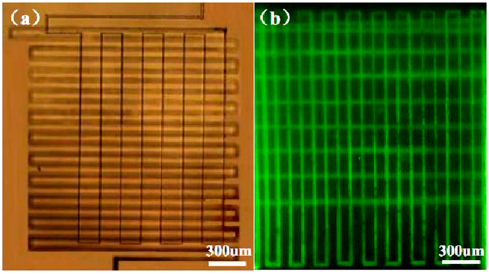 Micromachines 05 01106 g009