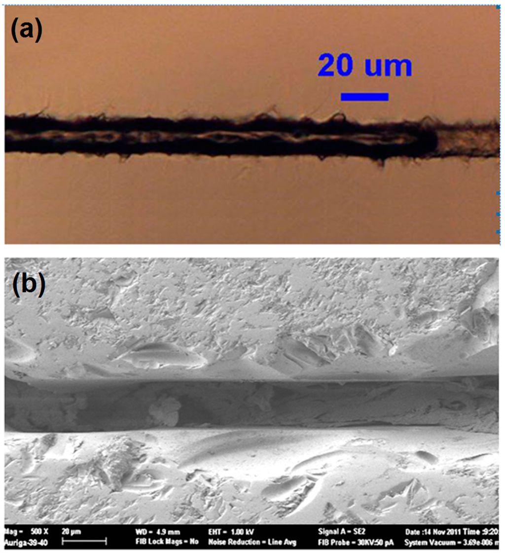 Micromachines 05 01106 g011 1024