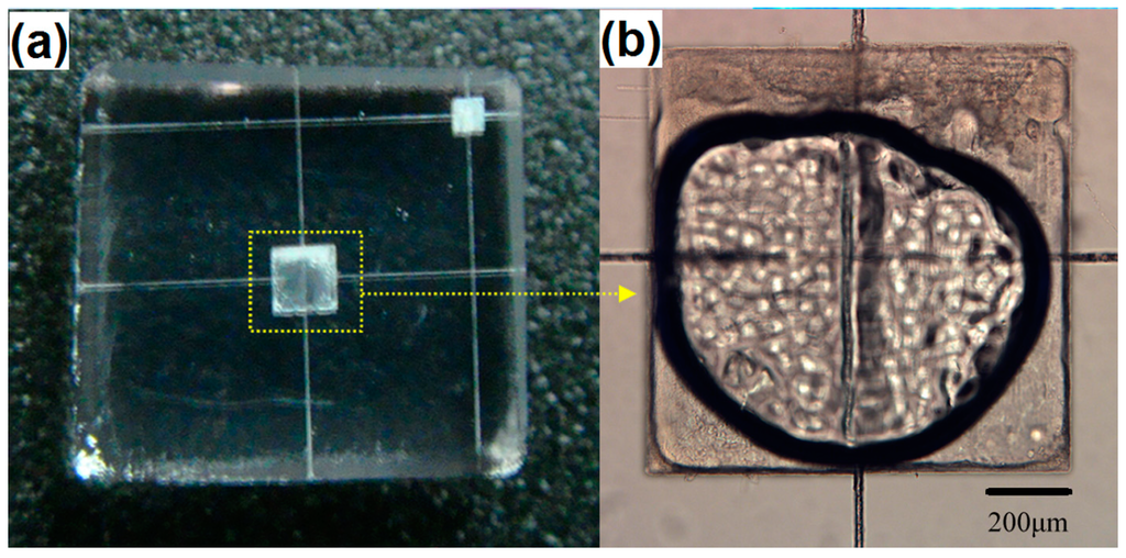Micromachines 05 01106 g013 1024