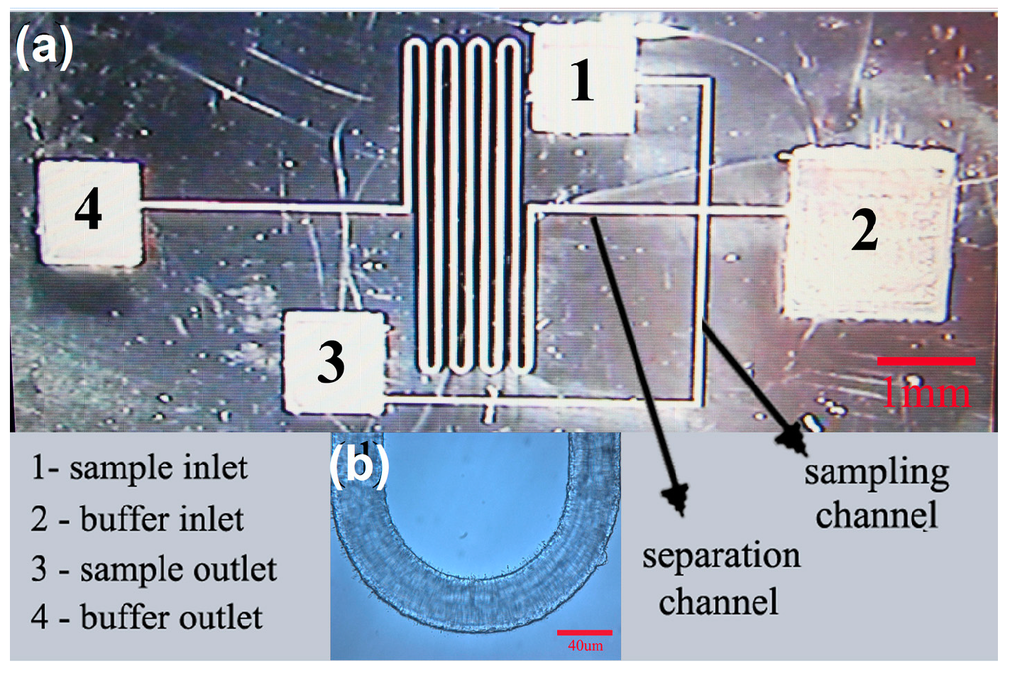 Micromachines 05 01106 g016