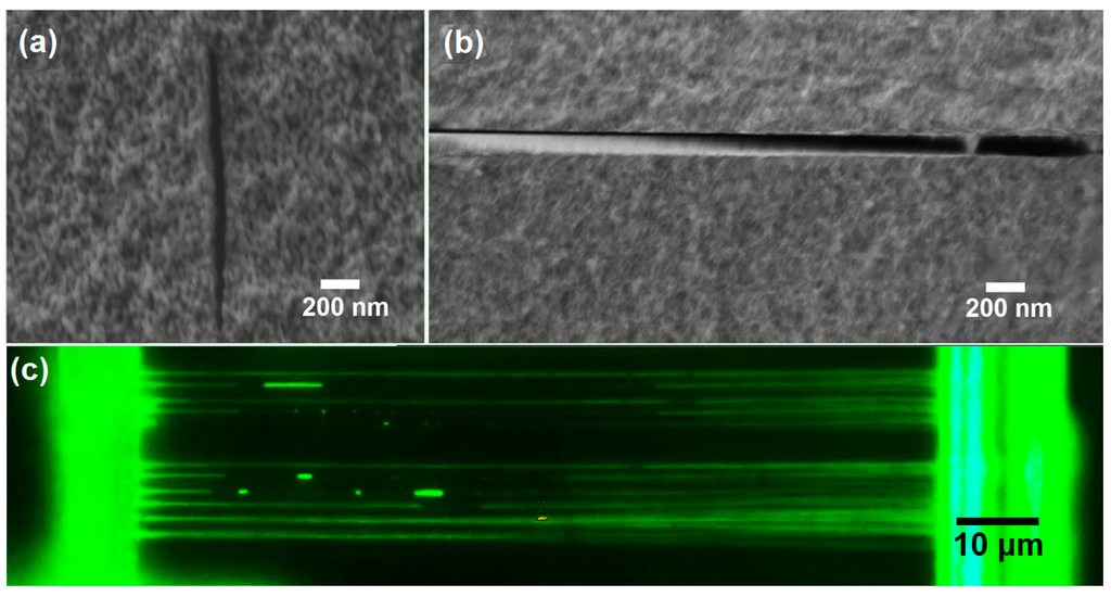 Micromachines 05 01106 g019 1024