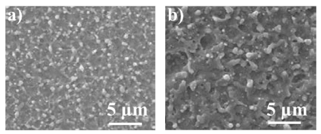Micromachines 05 01219 g004 1024