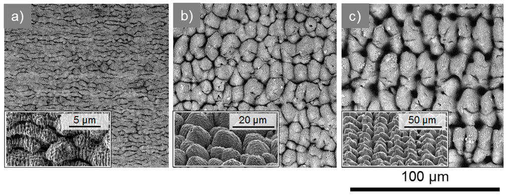 Micromachines 05 01219 g006 1024