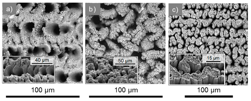 Micromachines 05 01219 g009 1024