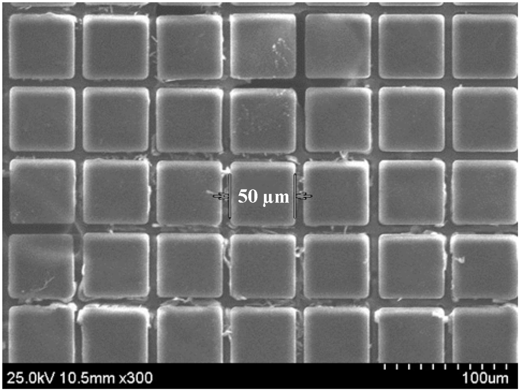 Micromachines 05 01287 g001 1024