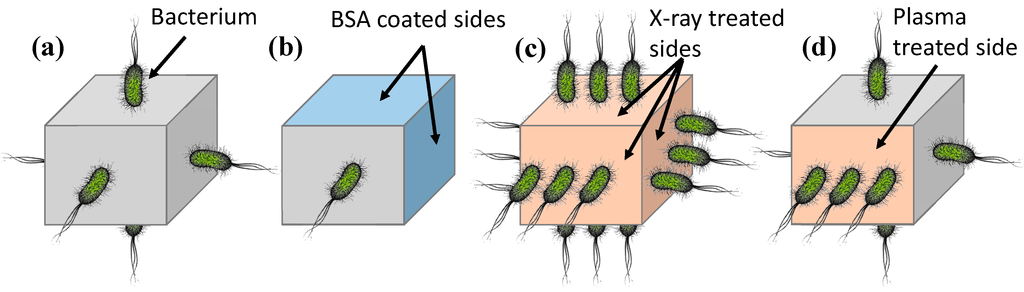 Micromachines 05 01287 g003 1024