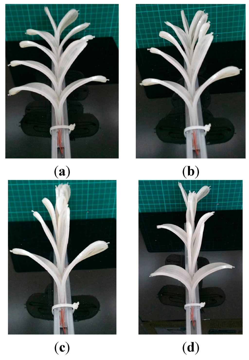 Micromachines 06 00042 g017 1024