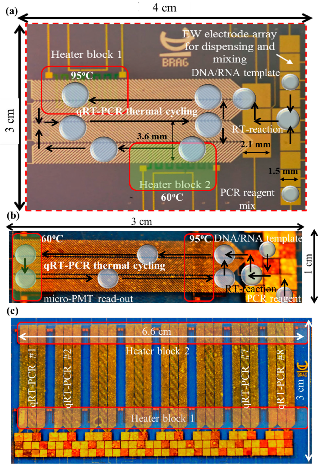 Micromachines 06 00063 g001 1024
