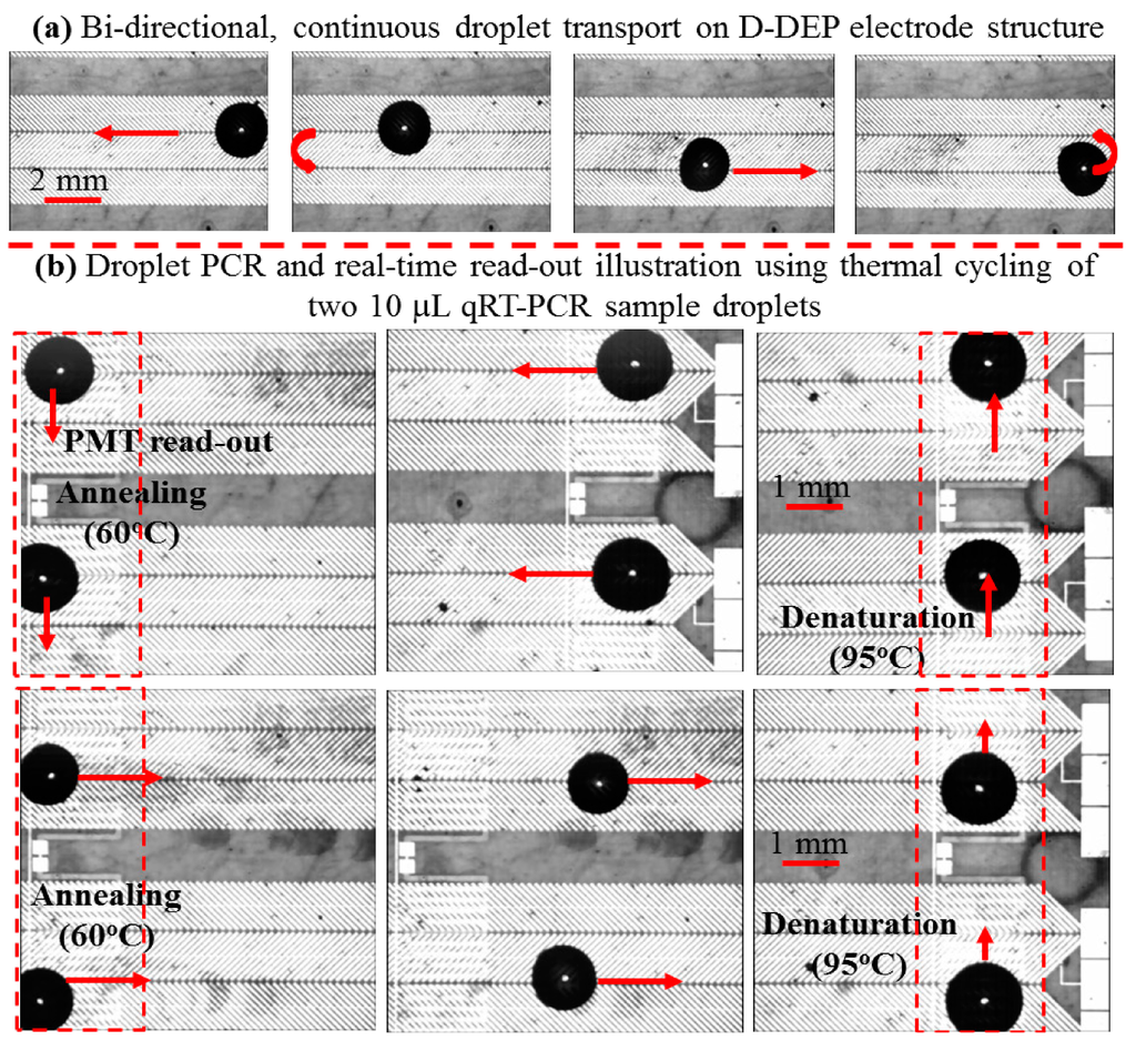 Micromachines 06 00063 g003 1024