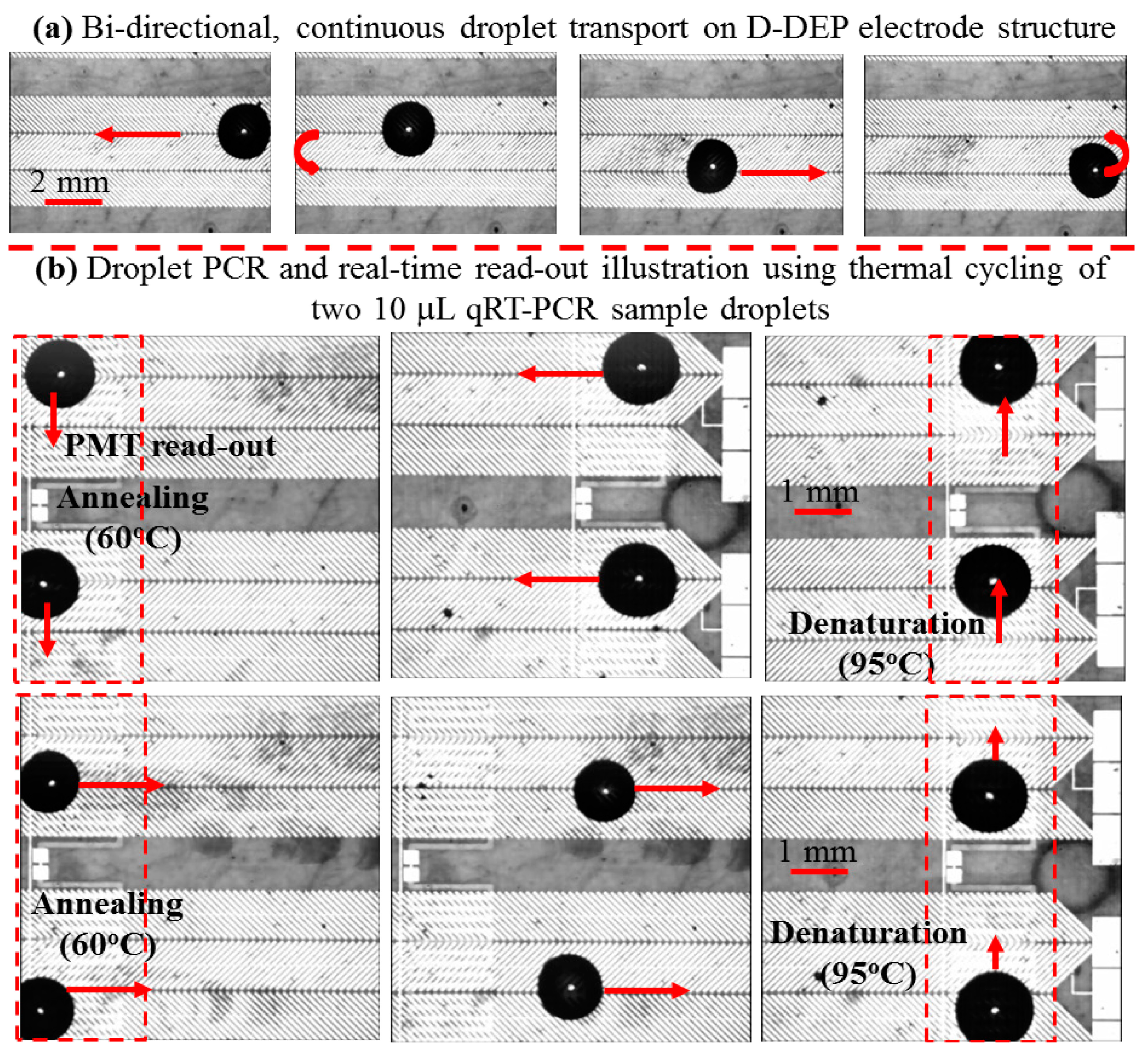 Micromachines 06 00063 g003